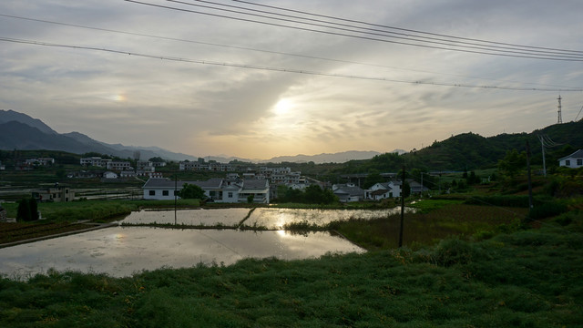 中峰贡米田落日