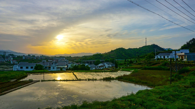 中峰贡米田太阳