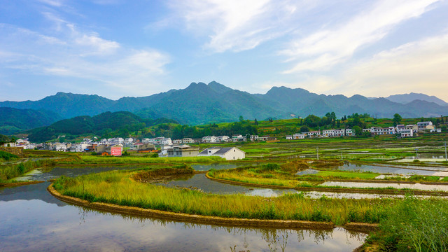 中峰贡米蓝天