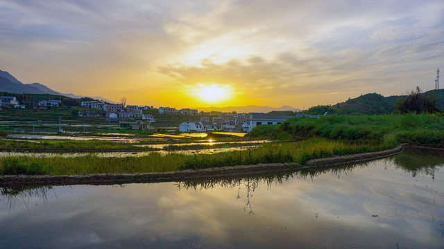 中峰贡米田太阳