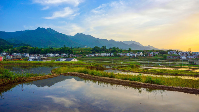 中峰贡米田落日