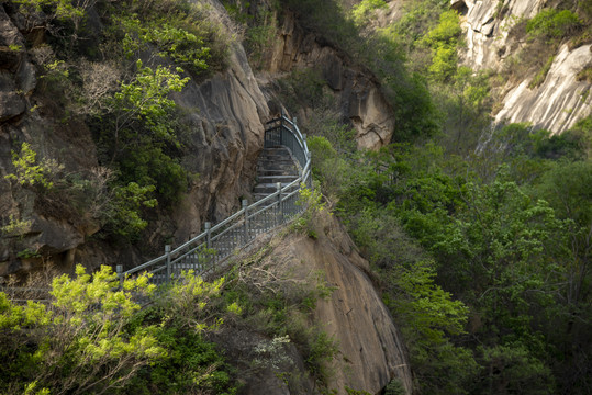 登山道