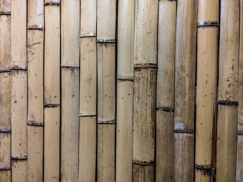 竹排背景