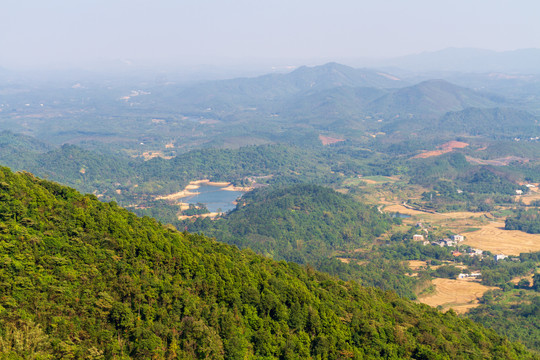 防城港望州顶山脊植被