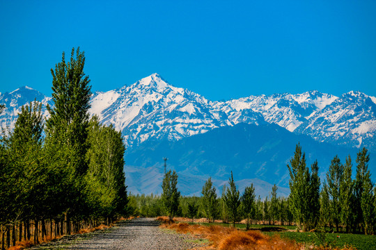 天山麦地田间小路