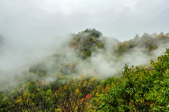 紫柏山