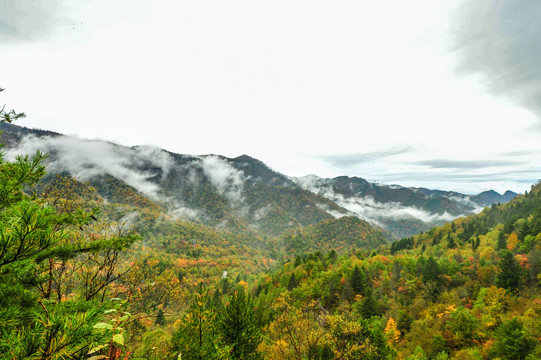 紫柏山