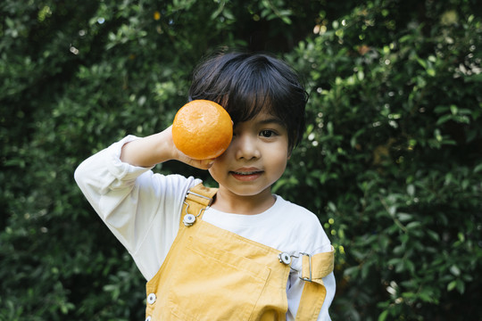 黑发亚洲小孩在院子里抱着橘子的画像。