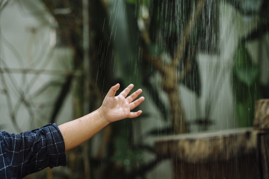 孩子的手抚摸着室外的雨水。第一次体验。