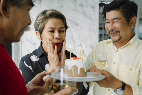 老人们用蛋糕给老太太庆祝生日聚会。