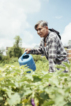亚洲老年农民在当地农业农场用罐子浇水。