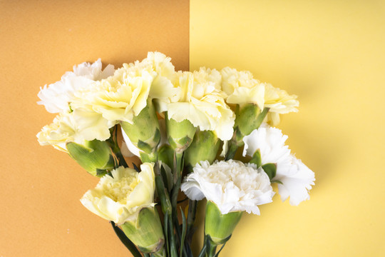 顶视图-黄色和白色花束的彩色背景。