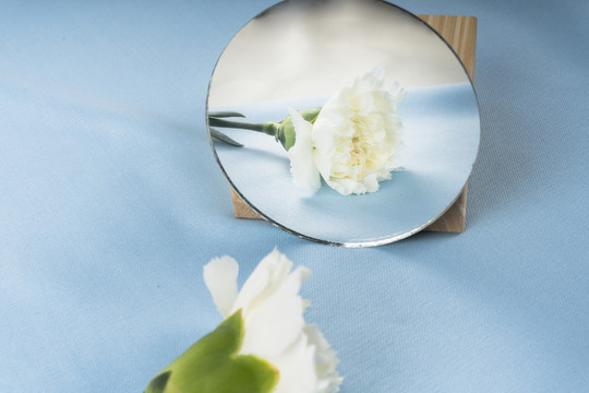 蓝色背景上的圆镜反射的花。
