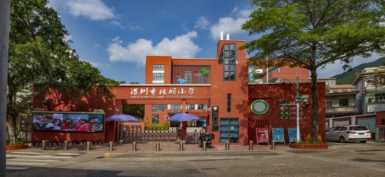 梧桐小学全景