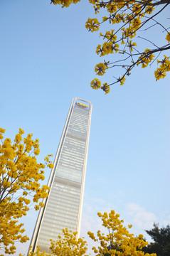 高層建筑