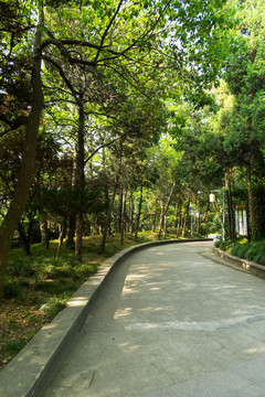 山林坡道