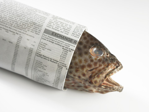 包在报纸里的鱼