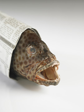 包在报纸里的鱼