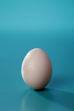 一个棕色的蛋，在蓝色背景上孤立。