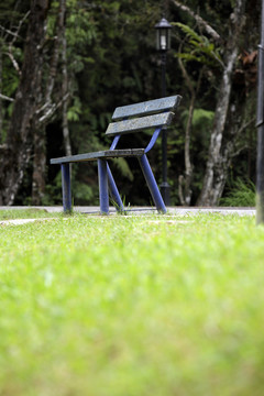 隔离在草地上的木凳。