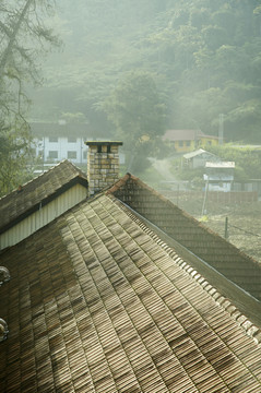 从屋顶到绿色森林和屋顶的景色。