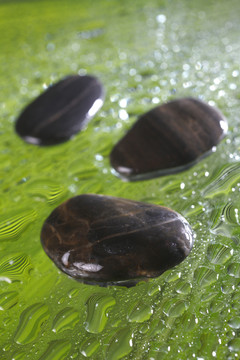 绿叶上的湿石头