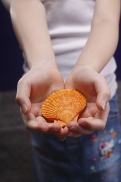 小女孩双手捧着贝壳。