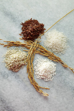 生米的种类很少