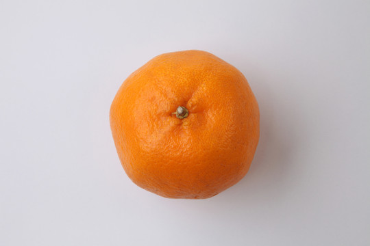 白底单橙