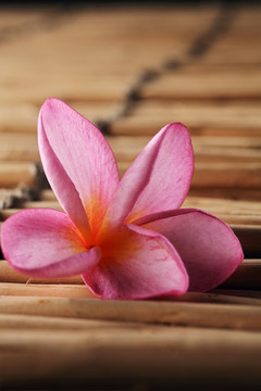 竹席上放着粉红色的紫罗兰花