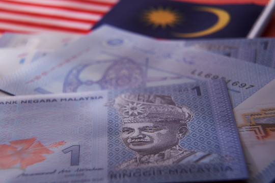 马来西亚国旗和马来西亚货币一林吉特