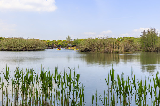 常熟沙家浜风景区