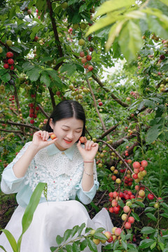 女孩在李子果园采摘写真