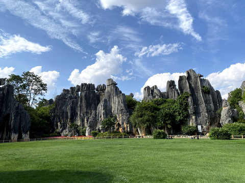 石林风景