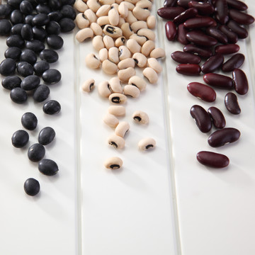 白色背景上的各种豆子