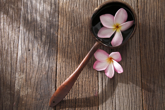 菠萝花椰子壳