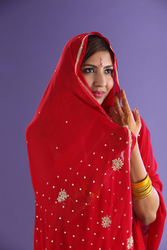美丽的传统印度年轻女子
