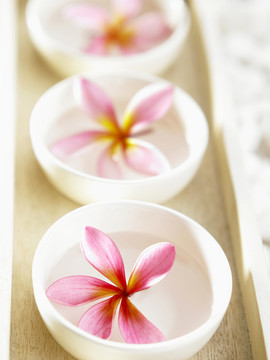 热带花卉漂浮在一碗水上，呈直线排列
