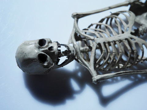 人体骨架的图像，腰部向上