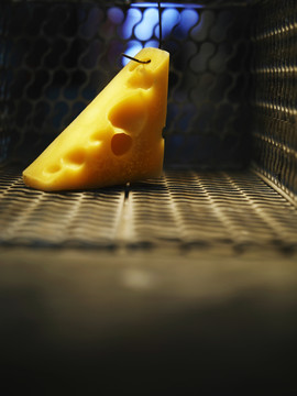 奶酪的特写镜头挂在敞开的捕鼠笼里