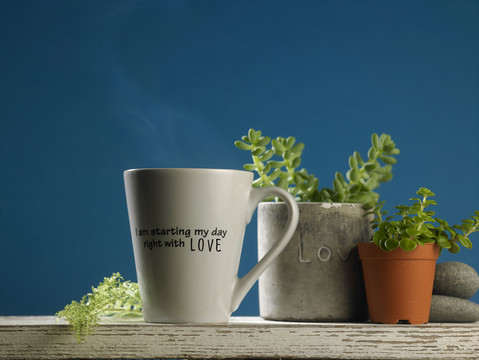 一杯热咖啡，蓝色背景，桌上有室内植物