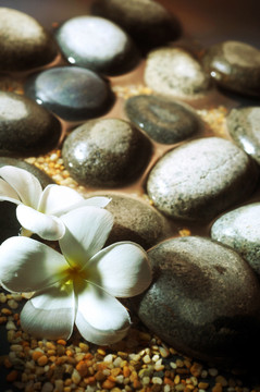 鹅卵石和鲜花
