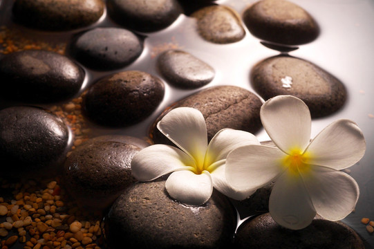石头和花