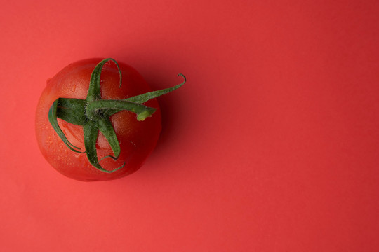 红色背景上的西红柿