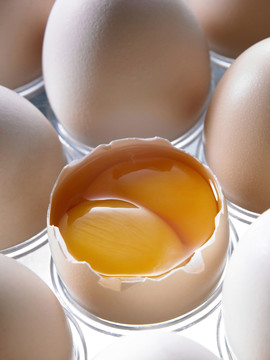 一个鸡蛋里有两个鸡蛋约克