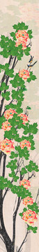國(guó)畫(huà)牡丹