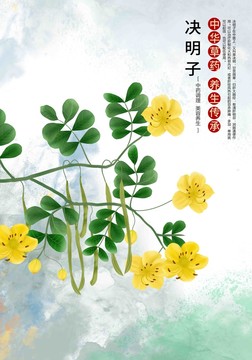決明子插畫
