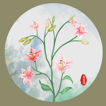 手繪百合花插畫