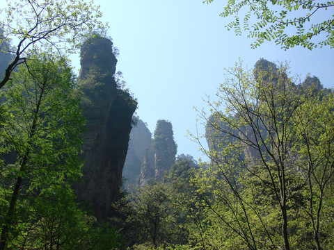 张家界风景