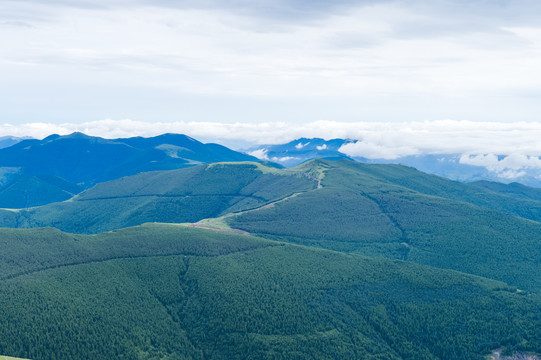 五台山朝台